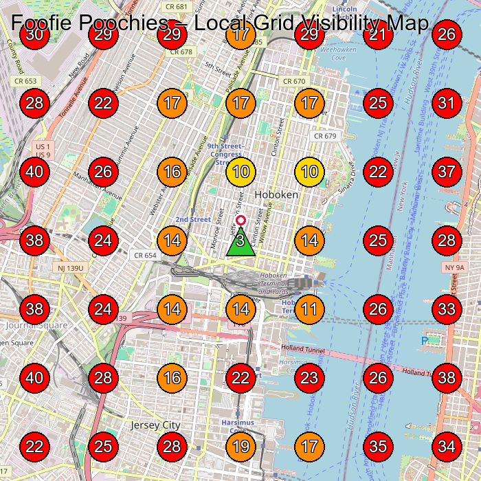 Foofie Poochies GeoGrid visibility map for Pet Groomer in Hoboken